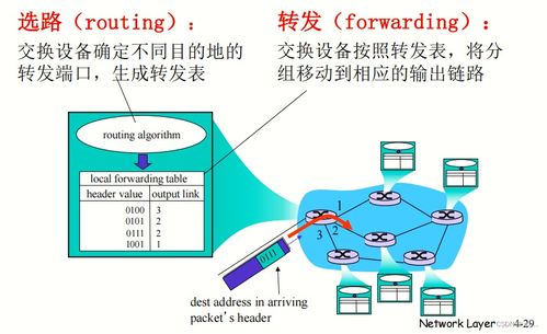 計算機網(wǎng)絡與因特網(wǎng)